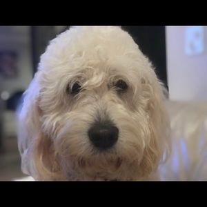 Meet your Posher, Sona